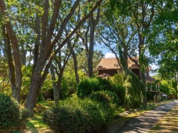 1353 Craigdarroch Rd  Victoria, BC V8S 2A6