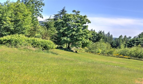 7337 Alberta Pl, Duncan, BC 