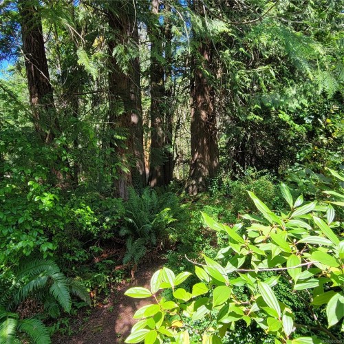 1 Morewater Rd, Lasqueti Island, BC 