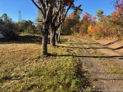 103 Main St, Minto, NB 