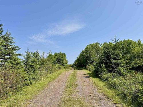 3123 Highway 320, D'Escousse, NS 