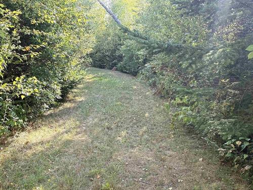 3 Island Rd Extension, Malagash, NS 