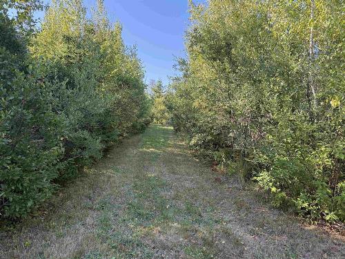 3 Island Rd Extension, Malagash, NS 