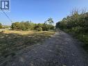 9823 E Birch Avenue, Taylor, BC  - Outdoor With View 
