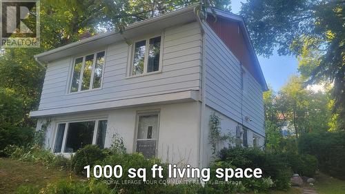 258 LAKEVIEW BOULEVARD  Georgina, ON L4P 2Y3