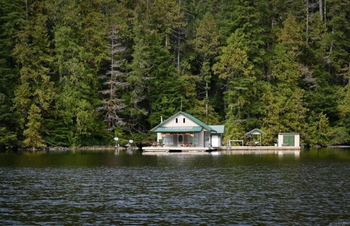 00 Tlupana Inlet, Gold River, BC 