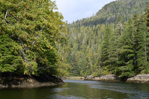 00 Tlupana Inlet, Gold River, BC 
