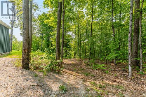 1143 Trillium Trail, Dysart Et Al (Dudley), ON - Outdoor