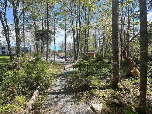 8630 Highway 331, Voglers Cove, NS 