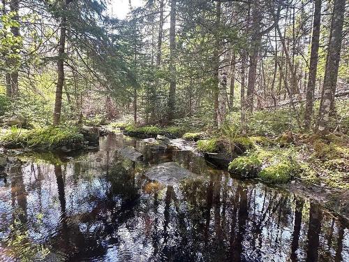 8630 Highway 331, Voglers Cove, NS 