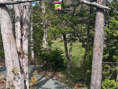 8630 Highway 331, Voglers Cove, NS 