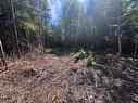 11A Nicholas Drive, Hammonds Plains, NS 