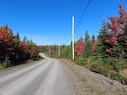 Lot 1A-3 Birch Crescent, Cape George, NS 