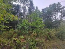 Lot 3 Wilson Drive  Upper Rawdon, NS B0N 2N0
