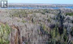 LOT 11 CON 4, LONG LAKE  Timiskaming (Tim - Outside - Rural), ON P0J 1H0