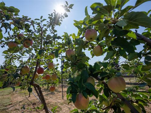 2205 Sparton Drive, Penticton, BC - Outdoor With View
