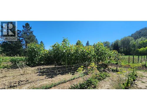 3450 Hardy Mountain Road, Grand Forks, BC - Outdoor