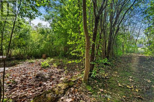 2858 Beach Avenue, Fort Erie (Ridgeway), ON - Outdoor