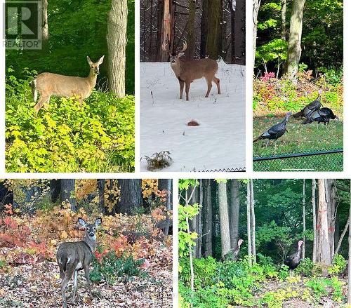 150 Cannes Avenue, Vaughan, ON - Outdoor