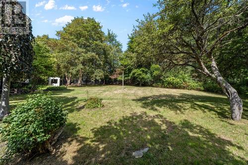 146 Hamilton Avenue, St. John'S, NL - Outdoor