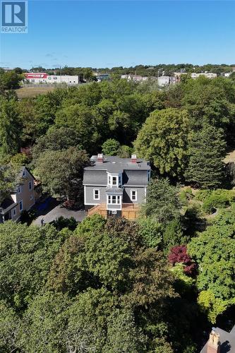 146 Hamilton Avenue, St. John'S, NL - Outdoor With View