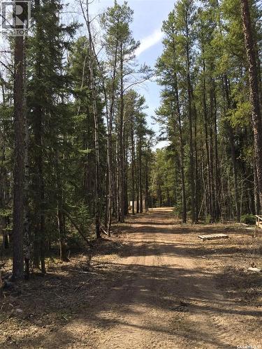 Jennings Ridge Acreage, Hudson Bay Rm No. 394, SK - Outdoor With View