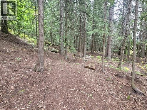 Lot A Maclure Avenue, Salmo, BC 