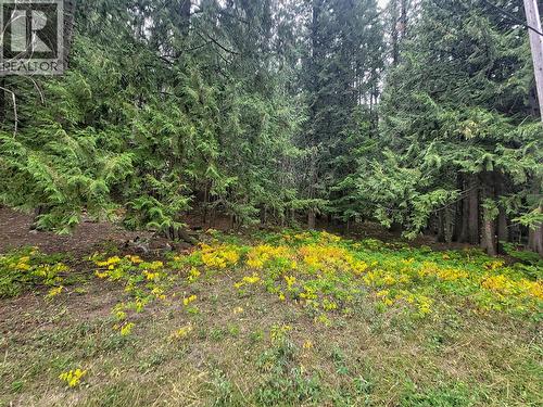Lot A Maclure Avenue, Salmo, BC 