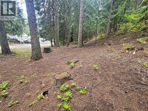 Lot A Maclure Avenue, Salmo, BC 