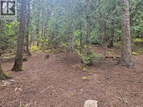 Lot A Maclure Avenue, Salmo, BC 