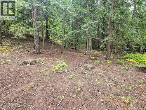 Lot A Maclure Avenue, Salmo, BC 