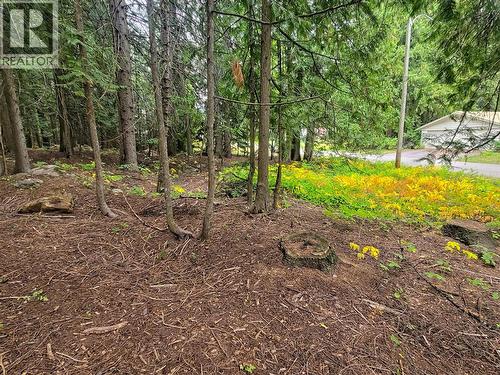 Lot A Maclure Avenue, Salmo, BC 