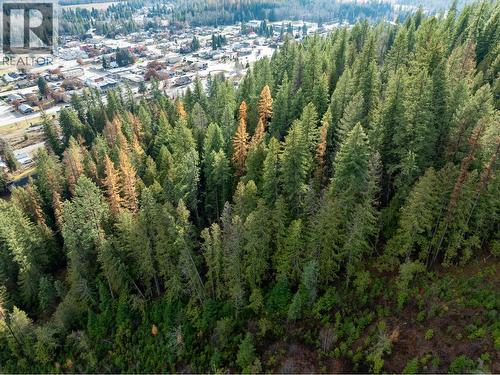 Lot A Maclure Avenue, Salmo, BC 