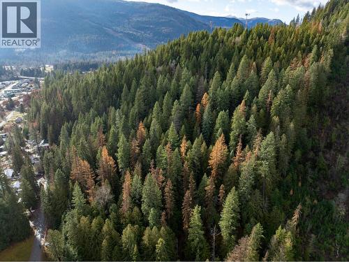 Lot A Maclure Avenue, Salmo, BC 