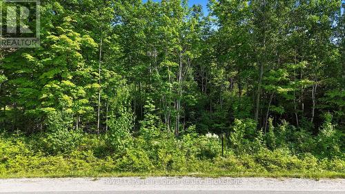 Lot 498 Tomahawk Crescent, Tiny, ON 