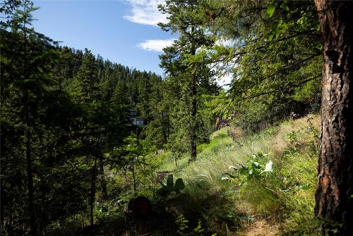 446 Grainger Road, Kelowna, BC - Outdoor With View