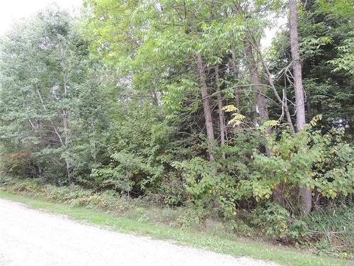 62 Pelican Inlet Rd, Manigotagan, MB 