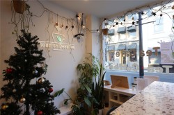 667 Fort St  Victoria, BC V8W 1G6