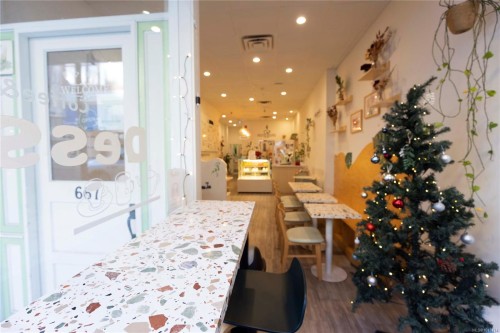 667 Fort St, Victoria, BC 