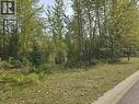 Lot 10 Dawson Street, Quesnel, BC 