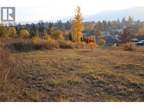 1102 12Th Avenue, Creston, BC 