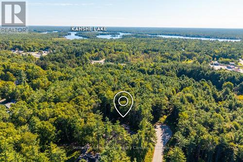 1030 Xavier Street, Gravenhurst (Morrison), ON - Outdoor With View
