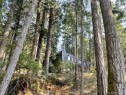 1376 Isabella Point Rd, Salt Spring, BC 