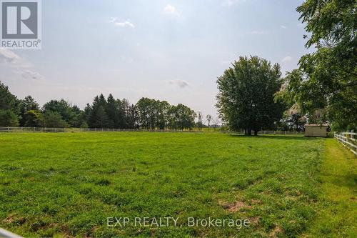8101 Decker Drive, Middlesex Centre, ON - Outdoor With View