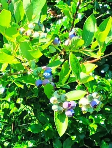 750 Highway 210, Waterloo, NS 