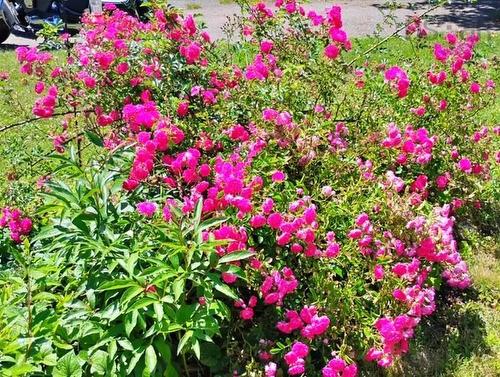 750 Highway 210, Waterloo, NS 