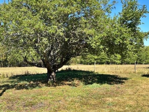 750 Highway 210, Waterloo, NS 