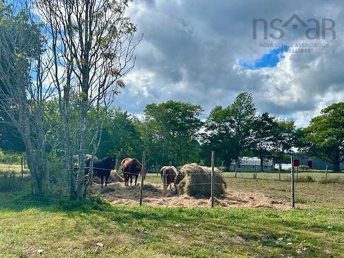 750 Highway 210, Waterloo, NS 