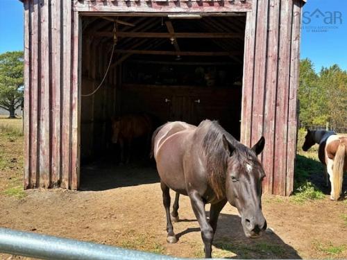 750 Highway 210, Waterloo, NS 