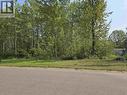 Lot 16 Dawson Street, Quesnel, BC 
